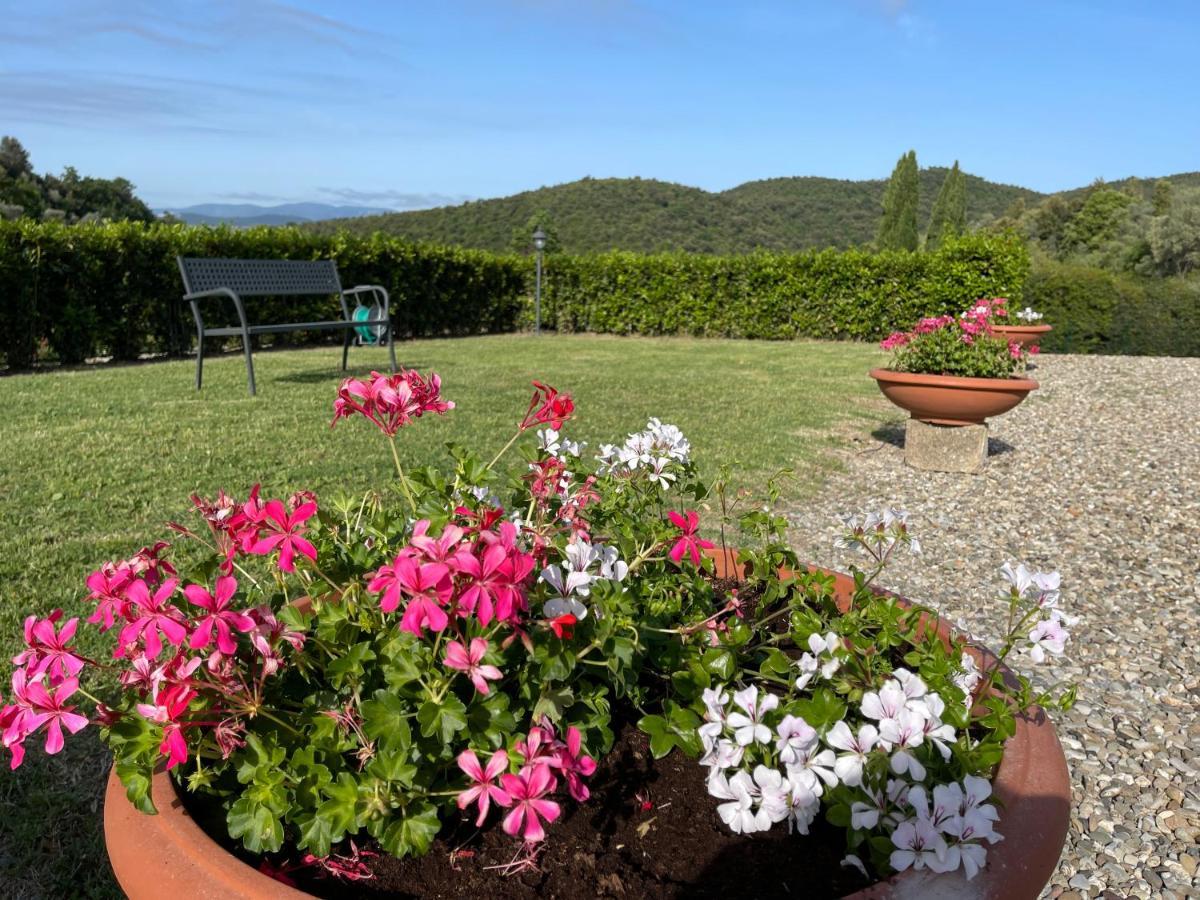 Tenuta Montemassi Podere Montauzzo Ngoại thất bức ảnh
