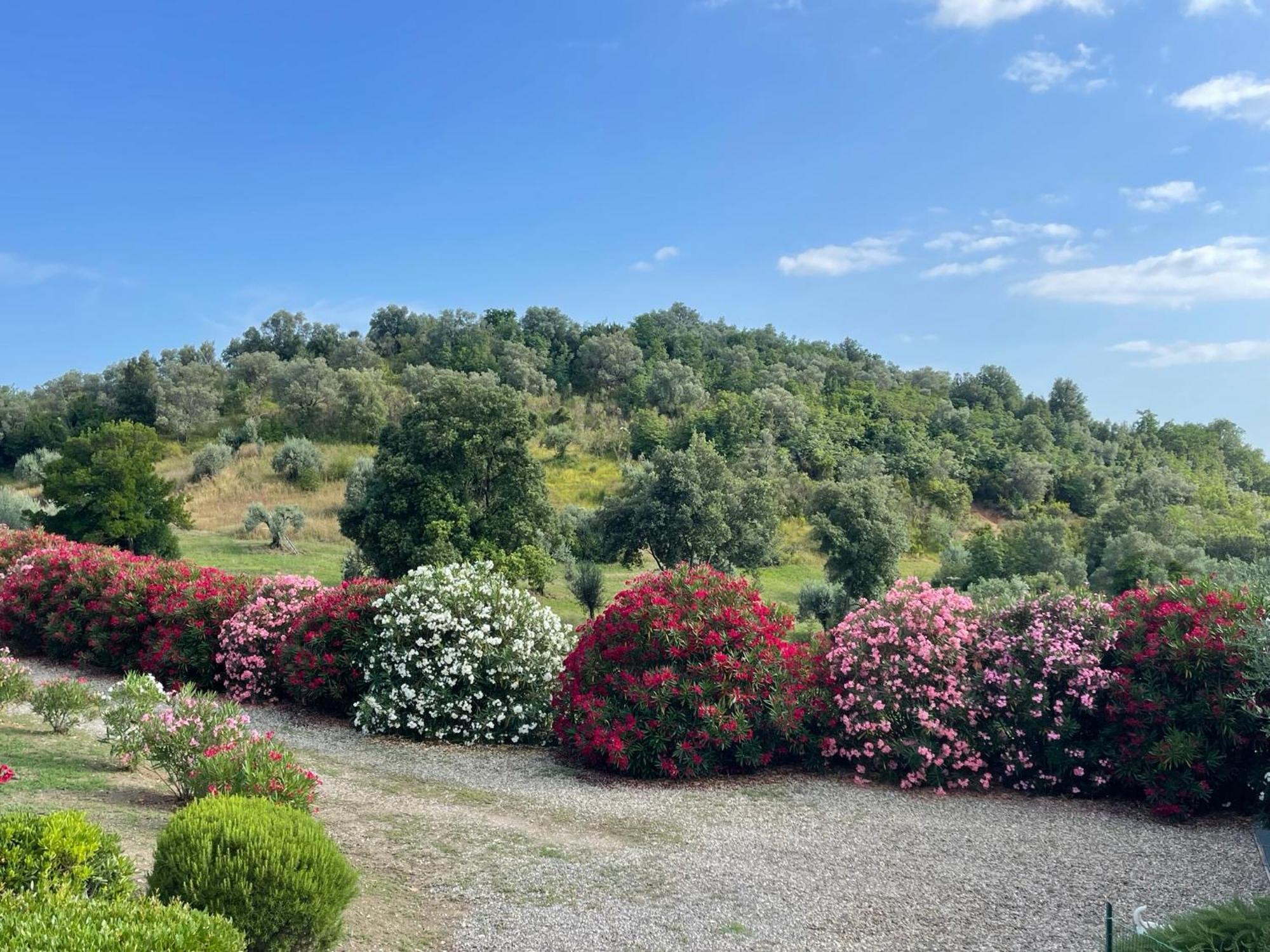 Tenuta Montemassi Podere Montauzzo Ngoại thất bức ảnh